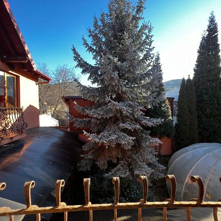 Anadi Hotel Boutique Only Adult Braşov Dış mekan fotoğraf