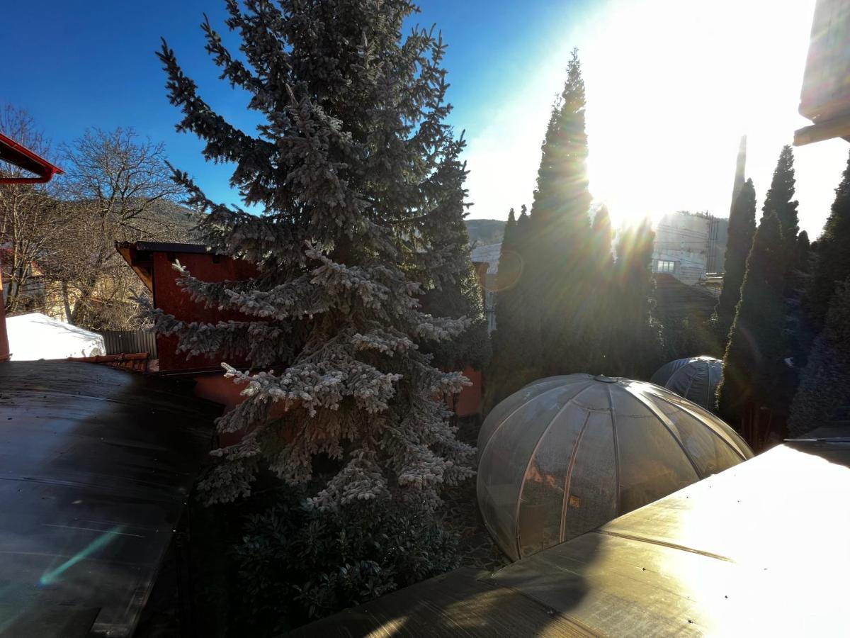 Anadi Hotel Boutique Only Adult Braşov Dış mekan fotoğraf